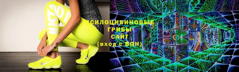 гидра ССЫЛКА  Горно-Алтайск  Галлюциногенные грибы Psilocybine cubensis 